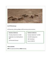 Ant Workshop Page 1